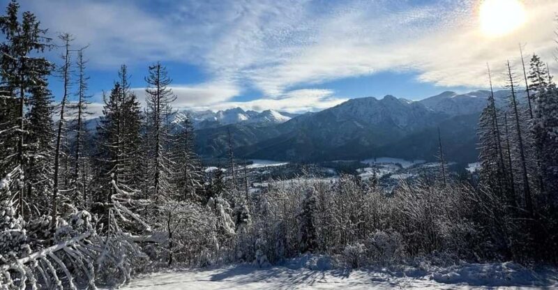 From Krakow: Zakopane Day Trip with Funicular & Food Tasting - Who Should Consider This Tour?