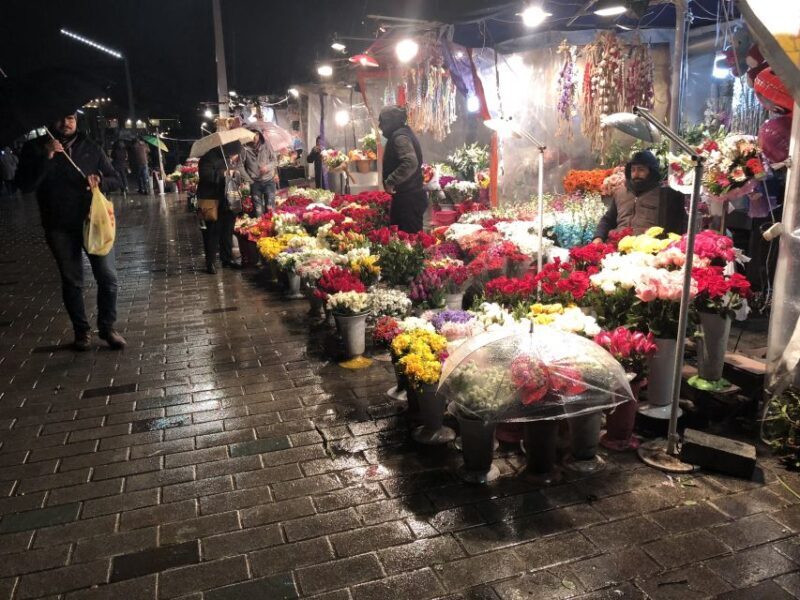 From Kusadasi: Istanbul Day Trip with Flights - The Practicalities