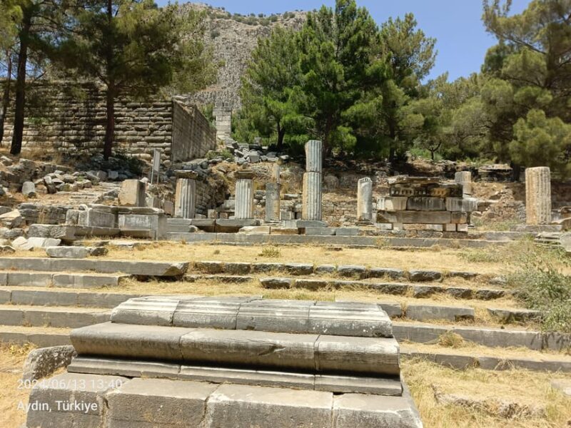 From Kusadasi: Priene, Miletus, and Didyma Private Tour - Final Thoughts