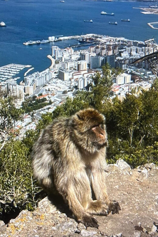 from La Cala/Marbella/Estepona: VIP Gibraltar tour with monkey rock + shopping - A Deep Dive into the Gibraltar VIP Tour