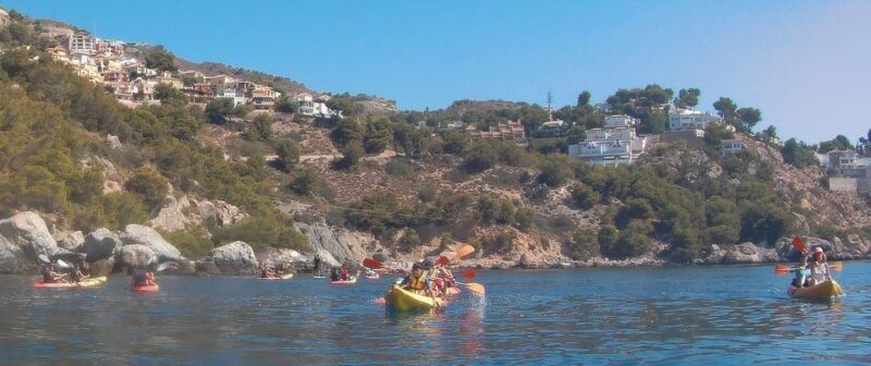From La Herradura: Maro Cerro Gordo Kayak Tour - Frequently Asked Questions