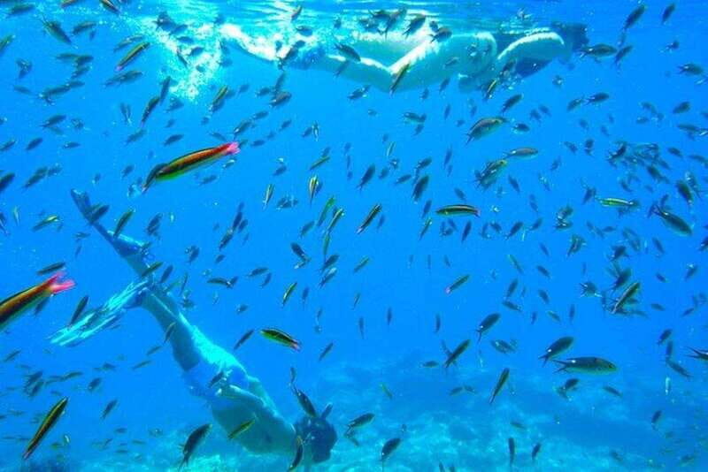 From La Paz: Espiritu Santo Island Adventure - The Experience in Detail