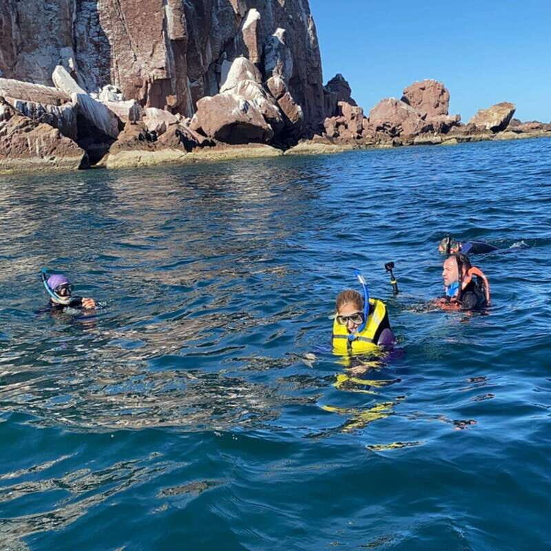 From La Paz: Espíritu Santo Island Tour all inclusive - An Overview of the Experience