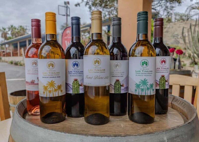 From La Playa: Vineyard Tour w/ Tasting & Todos Santos Stop - What the Reviews Say