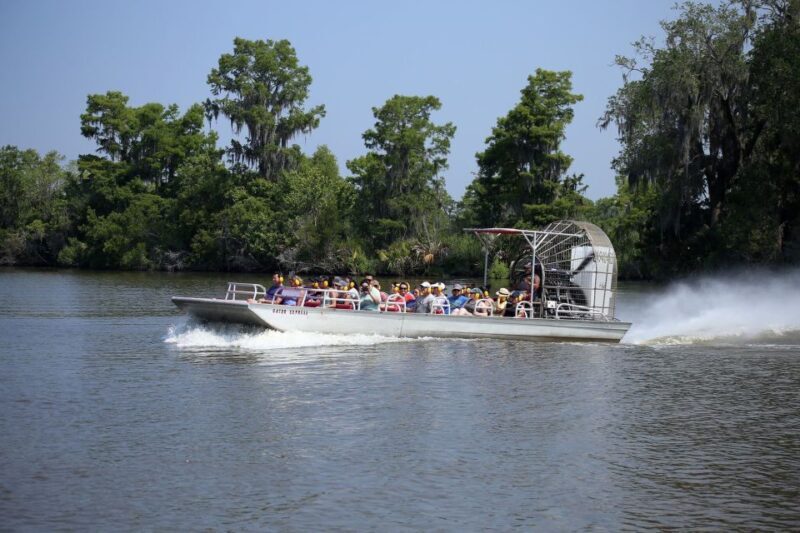 From Lafitte: Swamp Tours South of New Orleans by Airboat - Accessibility and Practical Tips