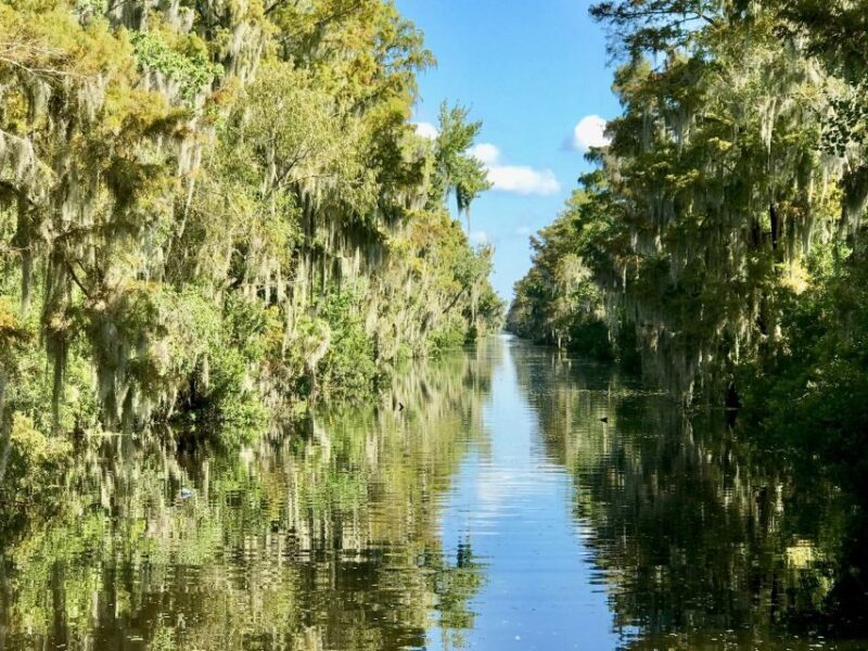 From Lafitte: Swamp Tours South of New Orleans by Airboat - Who should consider this tour?