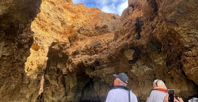 From Lagoa: Dolphins & Ponta da Piedade with biologist guide - The Value of the Experience