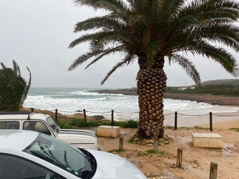 From Lagos: 5 Hour Algarve Coastal Tour with Guide - Final Thoughts: Who Should Consider This Tour?