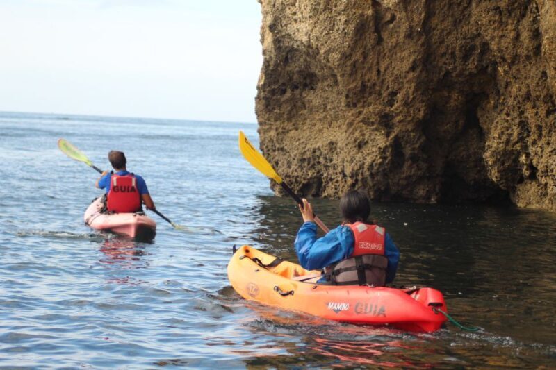 From Lagos: Algarve Coast and Caves by Kayak - Who Should Consider This Tour?