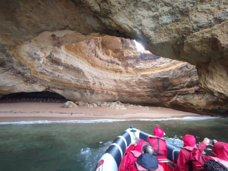 From Lagos: Benagil Sea Caves Tour with a Local Guide - What You Can Expect from This Tour