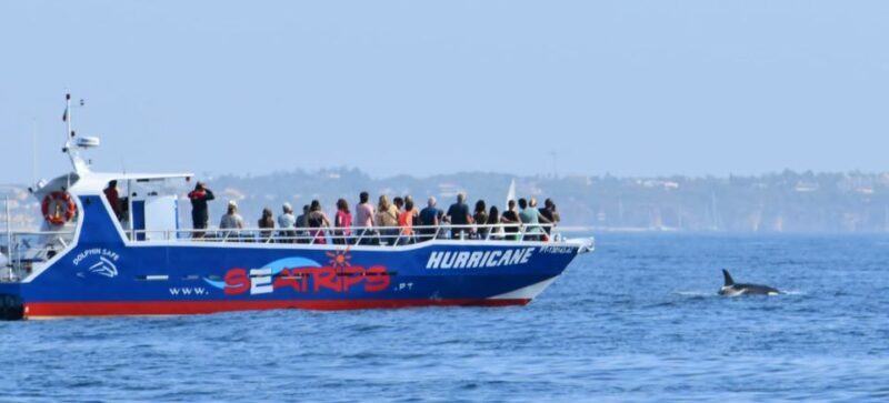 From Lagos: Benagil Sea Caves Tour with a Local Guide - FAQ