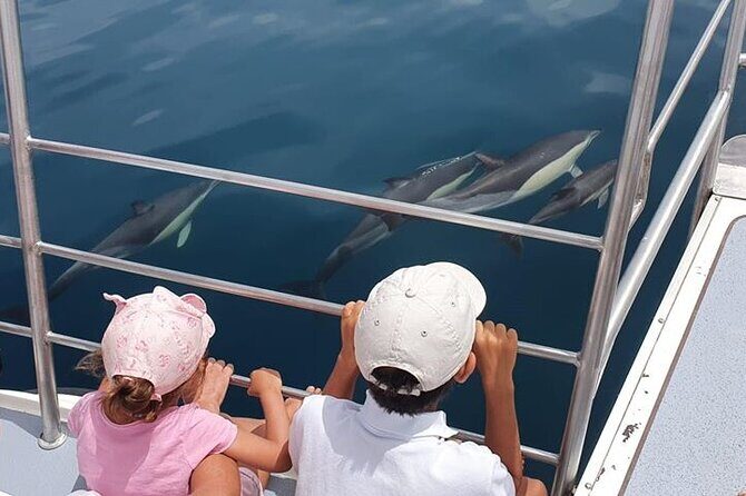 From Lagos: Dolphin Watching Cruise on a Catamaran - Exploring the Dolphin Watching Cruise from Lagos: A Friendly Review
