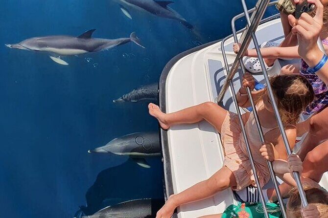 From Lagos: Dolphin Watching Cruise on a Catamaran - Final Thoughts