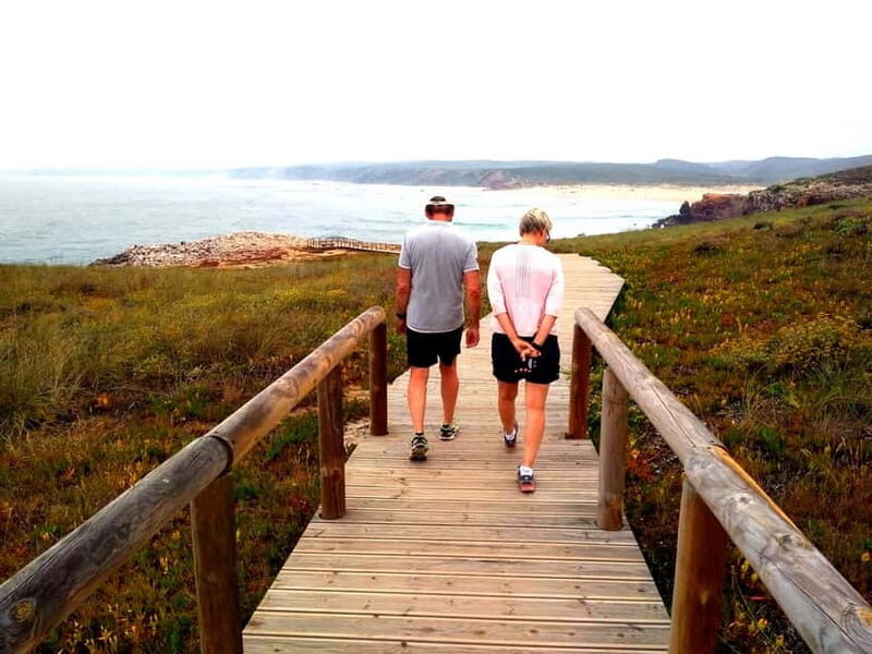 From Lagos: Half-Day West Coast Minivan Tour - Possible Drawbacks and Considerations