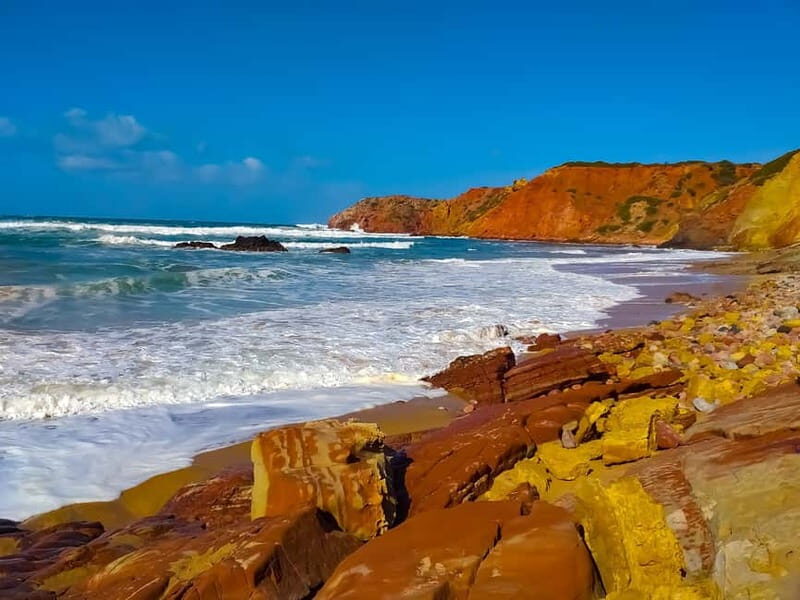 From Lagos: Half-Day West Coast Minivan Tour - The Price and Value