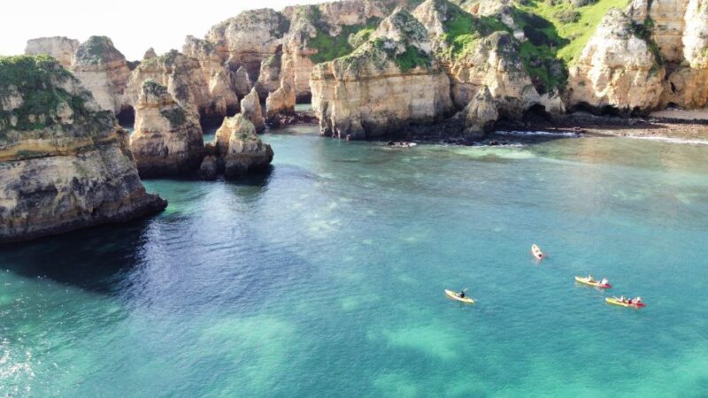 From Lagos: Kayak Experience in Ponta da Piedade - Analyzing the Price and Value