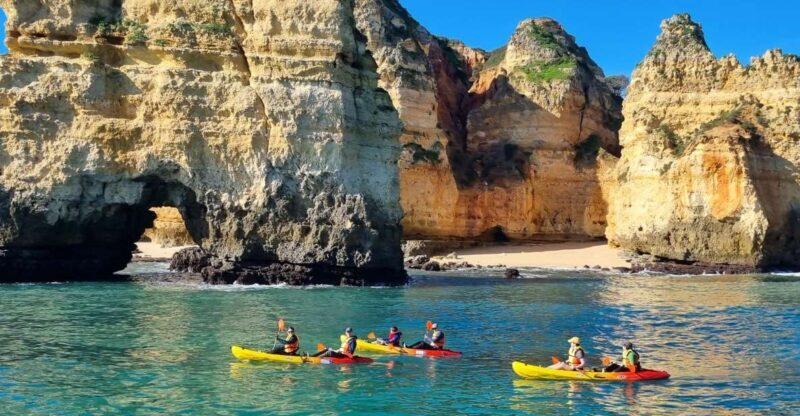 From Lagos: Kayak Experience in Ponta da Piedade - Who Is This Tour Best Suited For?