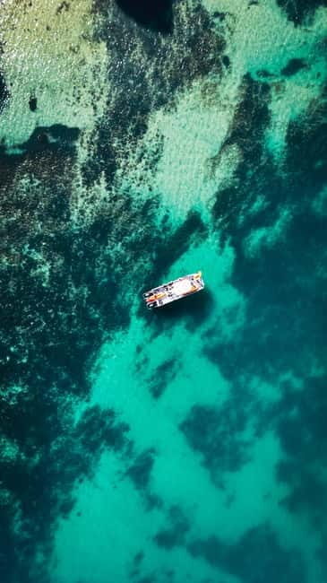 From Lagos: Ponta da Piedade Caves Kayak Tour from Catamaran - Key Points