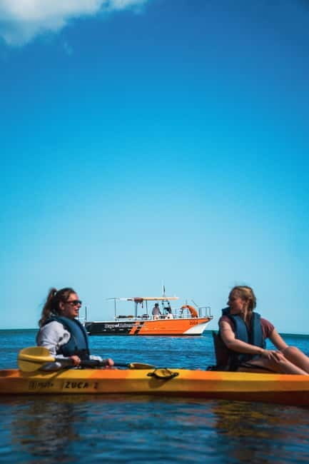 From Lagos: Ponta da Piedade Caves Kayak Tour from Catamaran - An In-Depth Look at What to Expect