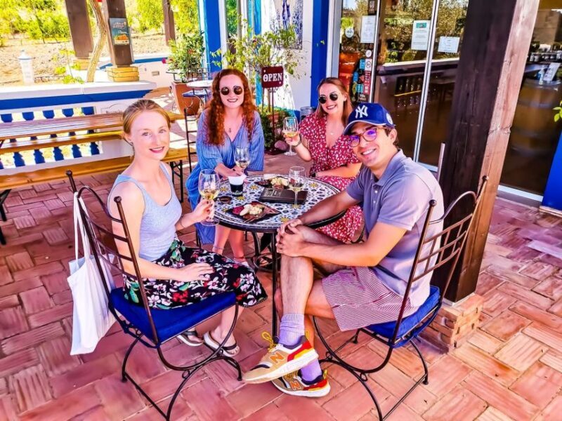 From Lagos: Small-Group 4-Hour Wine Tasting Tour - Final Thoughts: Who Is This Tour Best For?