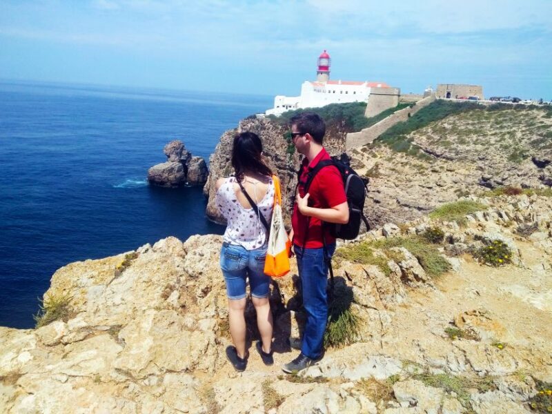 From Lagos: Wild and Wonderful West Coast Full-Day Tour - An Honest Look at the Full-Day West Coast Tour