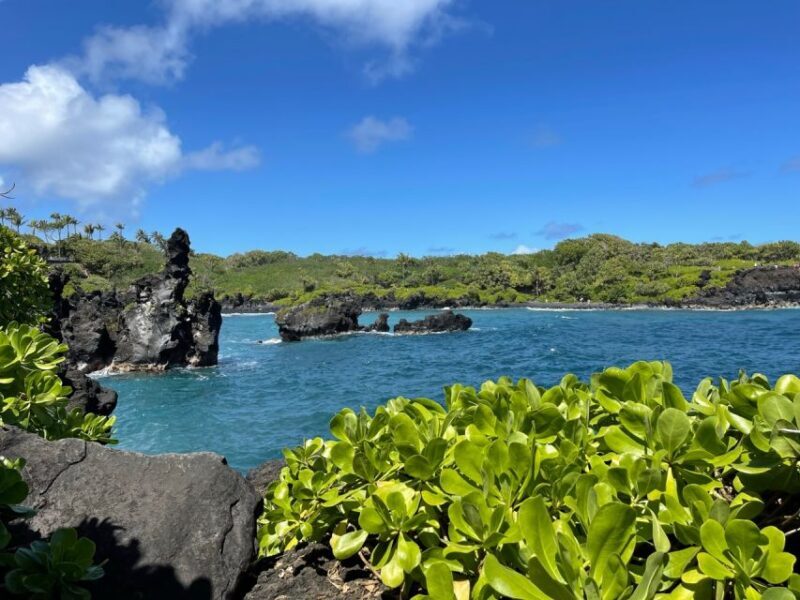 From Lahaina, Maui: Road to Hana Tour - From Lahaina, Maui: Road to Hana Tour — An Honest Look