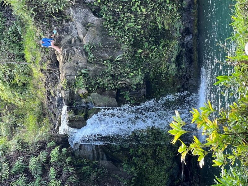 From Lahaina, Maui: Road to Hana Tour - Final Thoughts