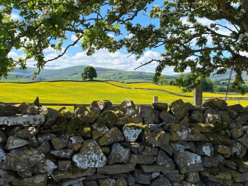 From Lake District: Full-Day Yorkshire Dales Tour - What the Tour Offers: A Detailed Look