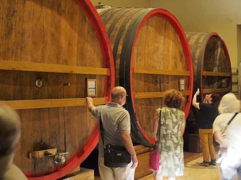 From Lake Garda: Valpolicella Wine & Lunch Guided Trip - The Experience’s Strengths