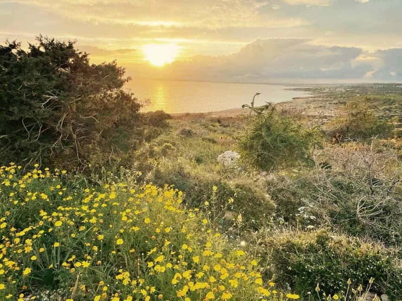 From Larnaca: Cape Greko Guided Tour with Transfers - Final Thoughts