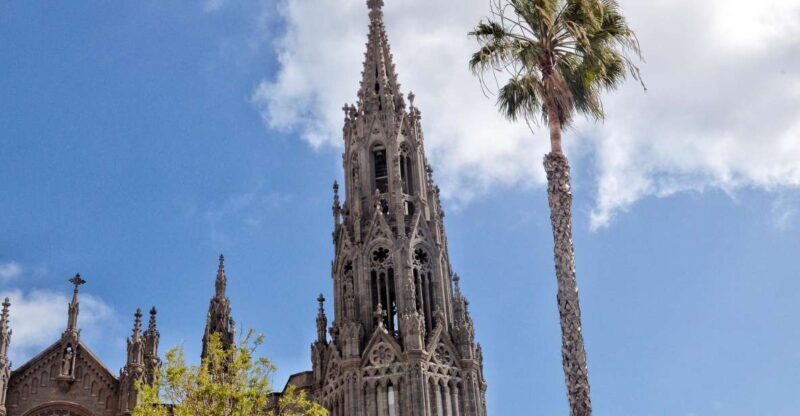 From Las Palmas: Full-Day Tour of the North - A Detailed Look at the Full-Day Tour