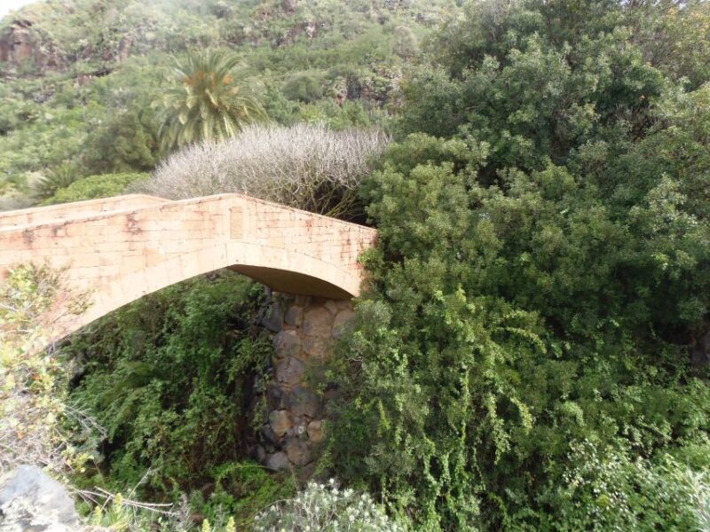 From Las Palmas: Full-Day Tour of the North - What the Reviews Say