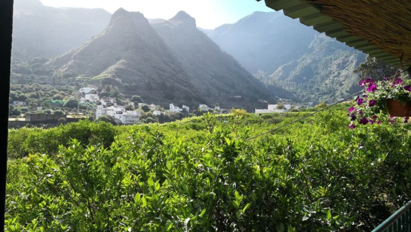 From Las Palmas: Full-Day Tour of the North - Who Should Consider This Tour?