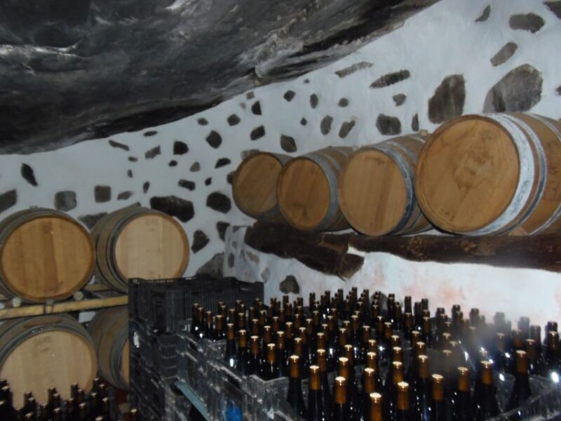 From Las Palmas: Full-Day Tour of the North - Final Thoughts