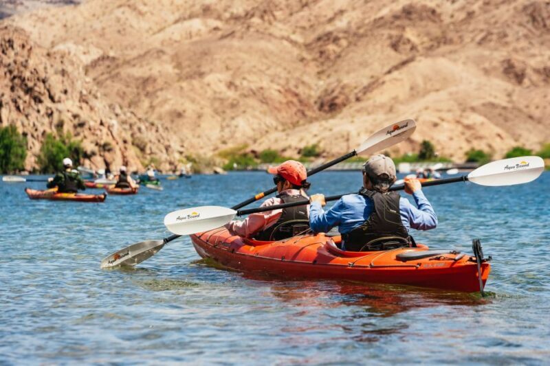 From Las Vegas: Black Canyon Half-Day Kayak Tour - Exploring the Black Canyon Kayak Tour: What You Need to Know