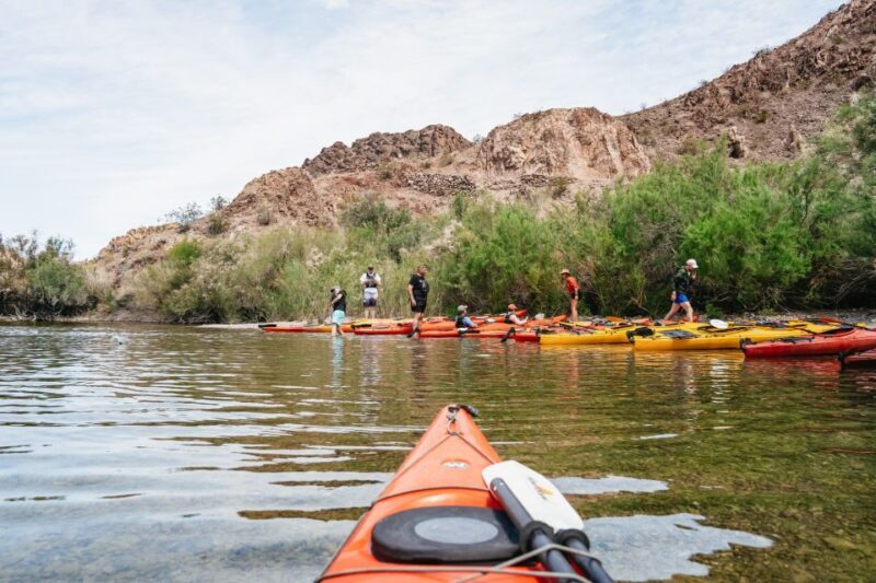 From Las Vegas: Black Canyon Half-Day Kayak Tour - The Sum Up