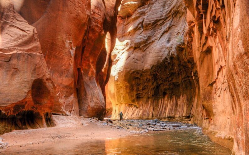 From Las Vegas: Bryce Canyon and Zion Park Tour with Lunch - Final Thoughts