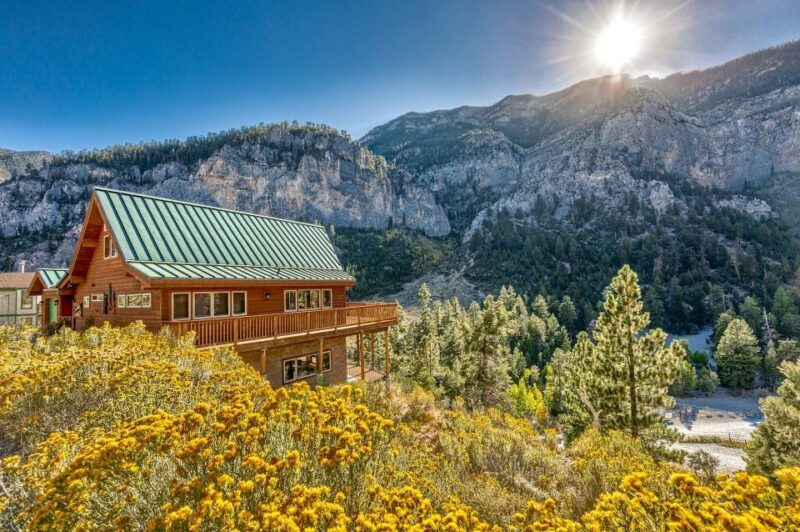 From Las Vegas: Day Trip to Mount Charleston Resort - Exploring Mount Charleston and Lee Canyon: What to Expect