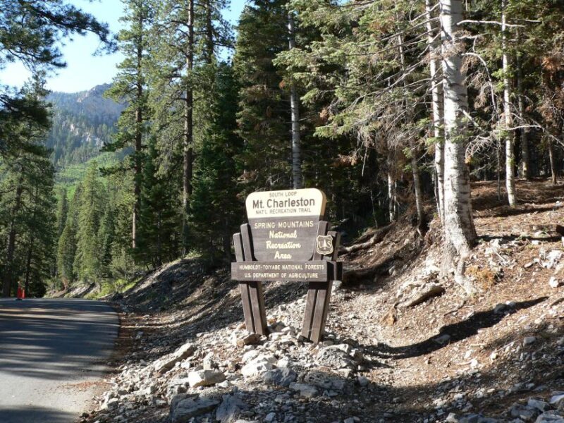 From Las Vegas: Day Trip to Mount Charleston Resort - The Experience from a Traveler’s Perspective