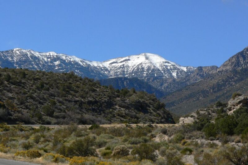 From Las Vegas: Day Trip to Mount Charleston Resort - Who Should Consider This Tour?