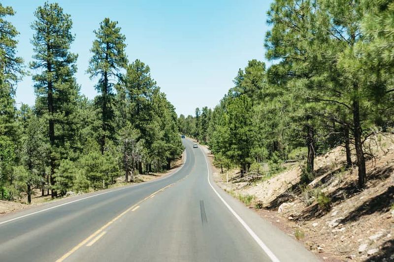 From Las Vegas: Grand Canyon South Rim Day Trip - Lunch at a Local Family Diner: Included or Own Expense