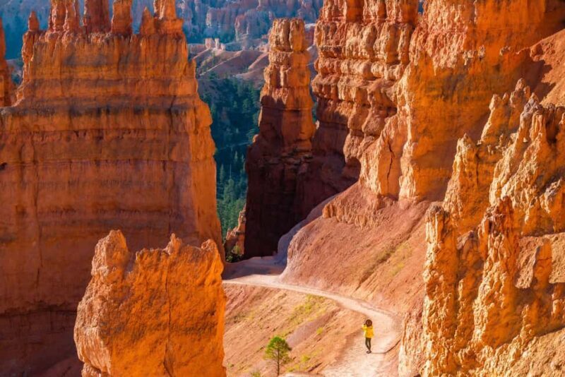From Las Vegas: Private Bryce Canyon Hiking Tour - Who Would Love This Tour?