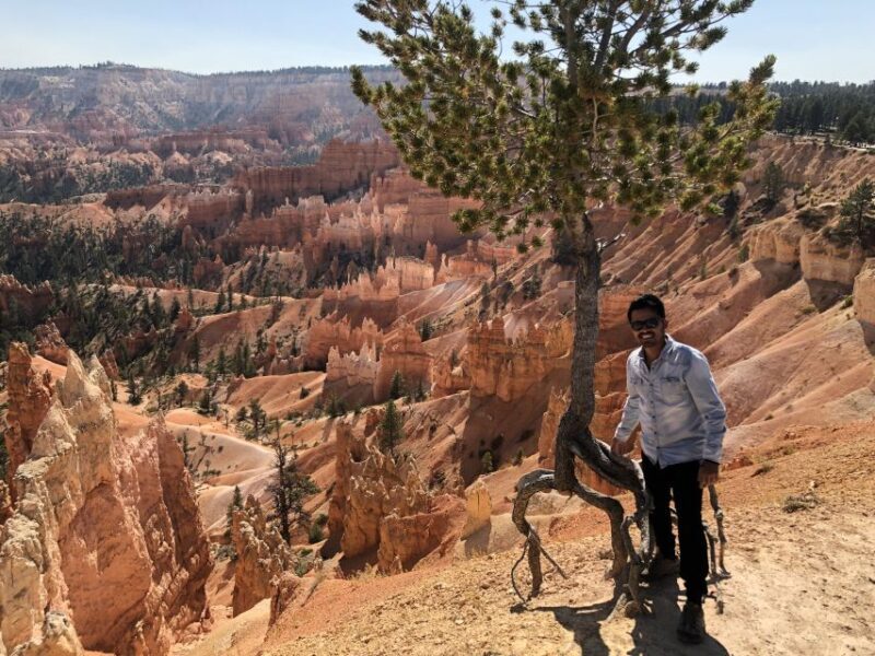 From Las Vegas: Zion and Bryce Canyon Day Trip with Pickup - What the Tour Offers: An Overview of the Experience