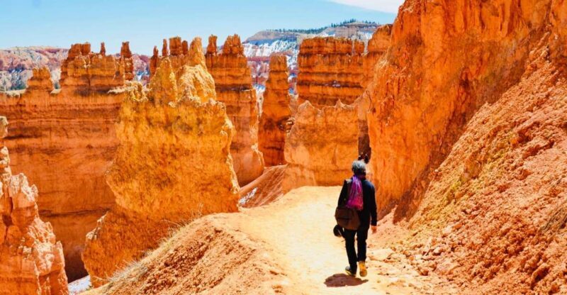 From Las Vegas: Zion and Bryce Canyon Day Trip with Pickup - Who Should Consider This Tour?