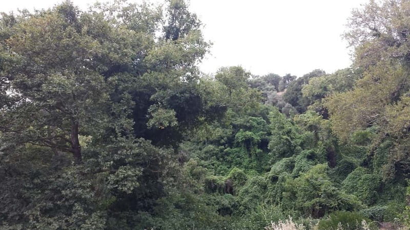 From Lasithi: Richtis Gorge - The Experience Based on Reviews