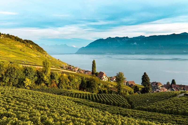 From Lausanne: Montreux, Chaplin, and Chillon Castle Tour - Exploring the UNESCO-listed Lavaux Vineyards