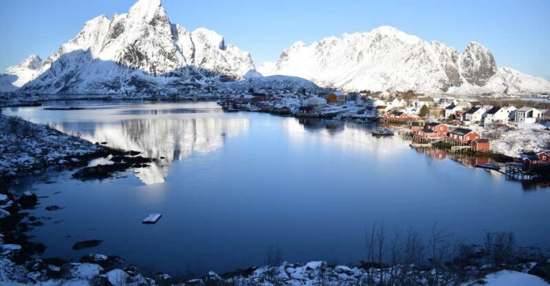 From Leknes City/Port: Private Lofoten Tour with Transfer - Cultural and Culinary Insights