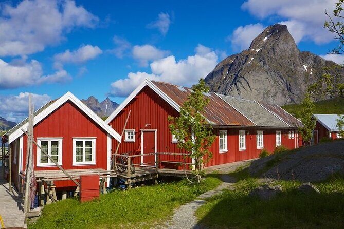 From Leknes port: Special Summer Guided Tour of Lofoten - A Detailed Look at the Experience
