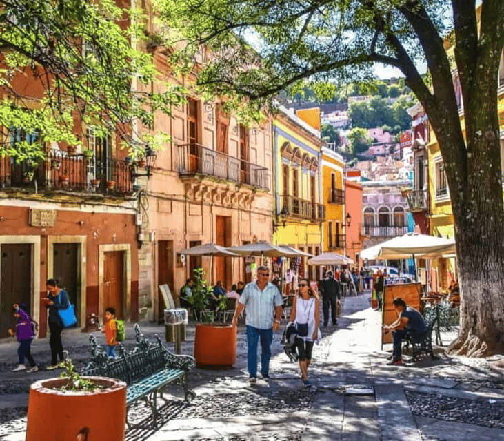 From Leon: Guanajuato Cultural Tour with Estudiantina Music - Key Points