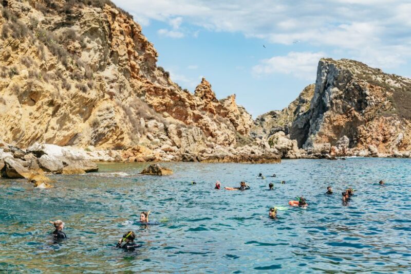 From LEstartit: Snorkeling Trip to the Medes Islands - The Experience and Atmosphere